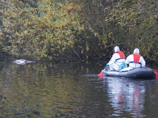 FW Wathlingen: Feuerwehr birgt verendete Schwäne aus Teich