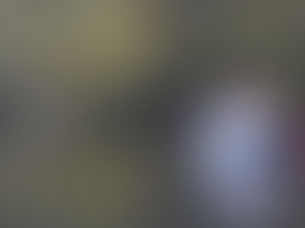 FW Wathlingen: Feuerwehr birgt verendete Schwäne aus Teich