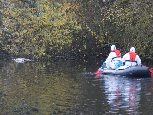 FW Wathlingen: Feuerwehr birgt verendete Schwäne aus Teich