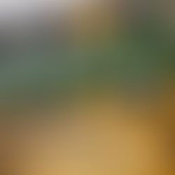 NIKU 2026: Stars zum Anfassen, große Namen und beste Unterhaltung