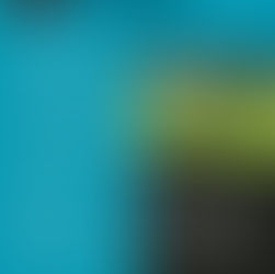 NEWSLETTER FEBRUARY 2026