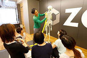 解剖学集中 | ピラティスインストラクター養成学校zone | 大阪市