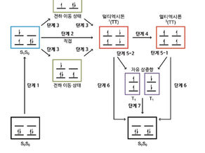 양자화학 시뮬레이션을 이용한 단일항 엑시톤 분열 메커니즘 규명(2025년 8월호)