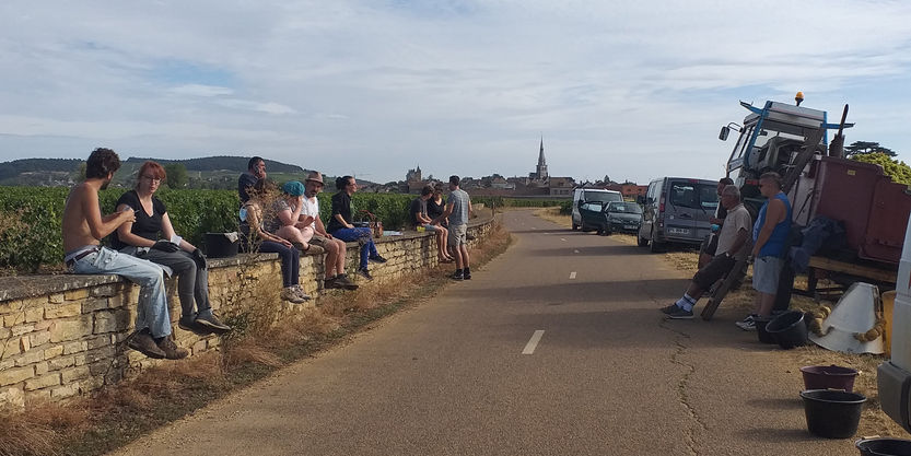 ブルゴーニュプライベートワイナリーツアー|ツアーアンブルゴーニュ