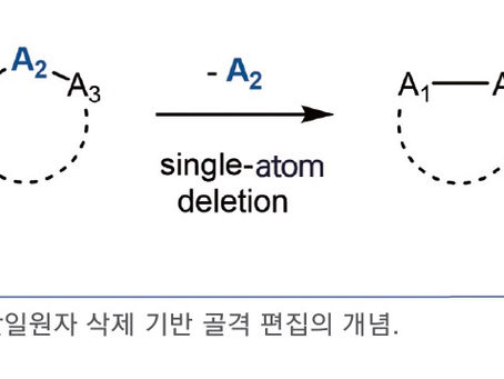 단일원자 삭제: 골격 편집의 태동(재발견)(2026년 10월호)