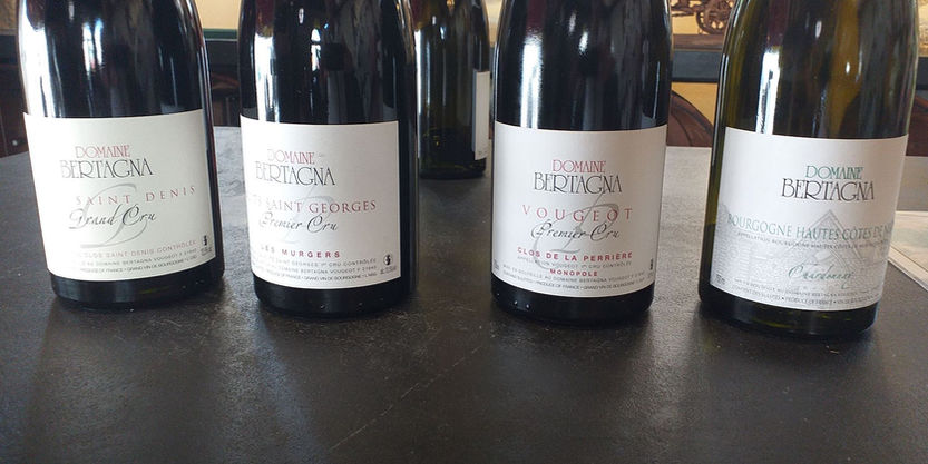 ブルゴーニュプライベートワイナリーツアー|ツアーアンブルゴーニュ
