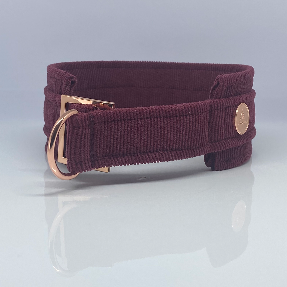 Miniaturbild: Unterlegtes Halsband Cord RUBIN