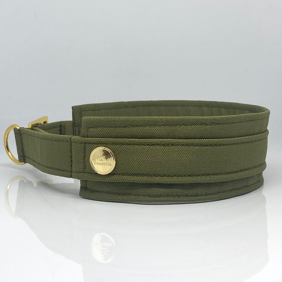 Miniaturbild: Unterlegtes Halsband OLIVE