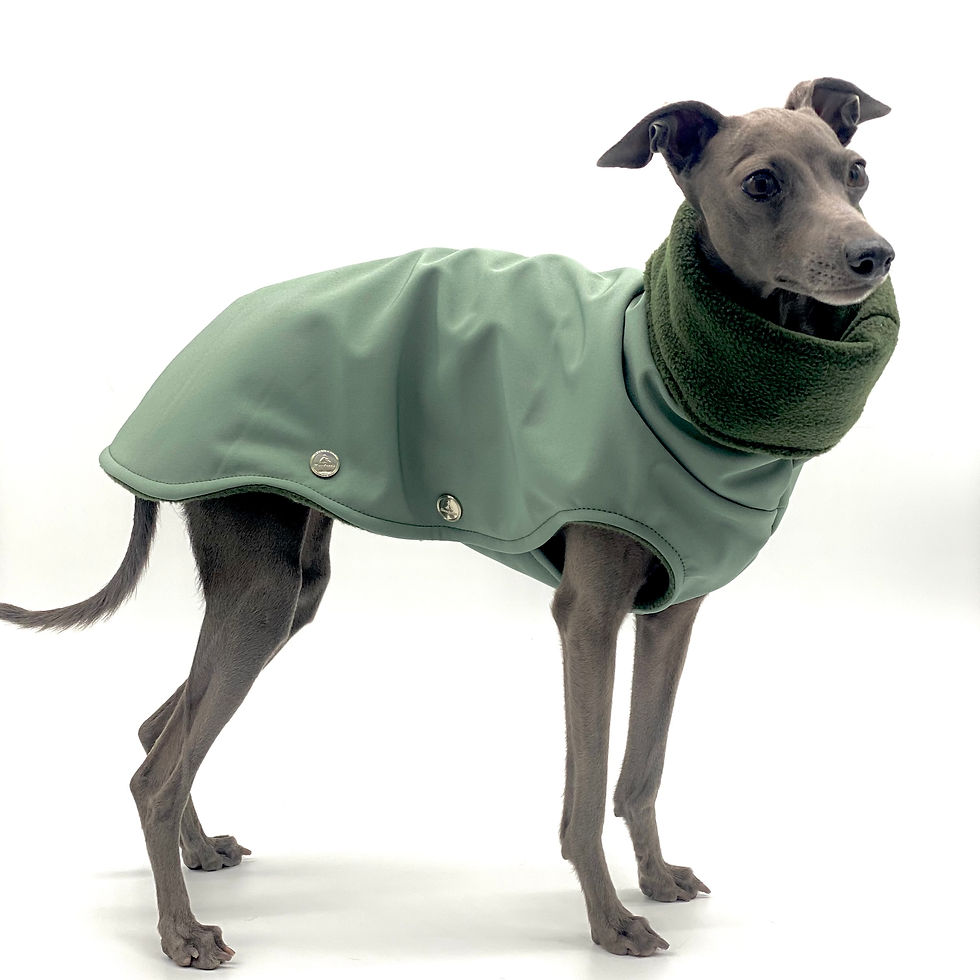 Miniaturbild: Hundemantel Softshell ALTGRÜN