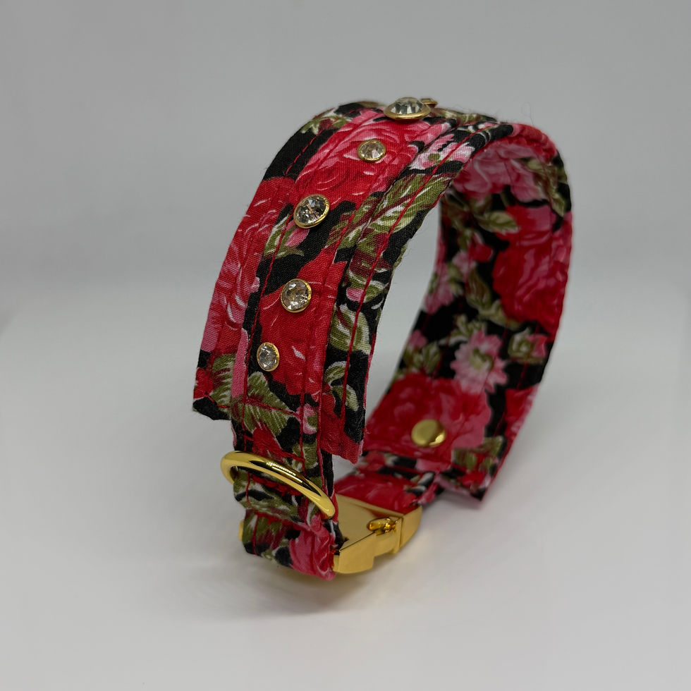 Miniaturbild: Unterlegtes Halsband RASPBERRY ROSES