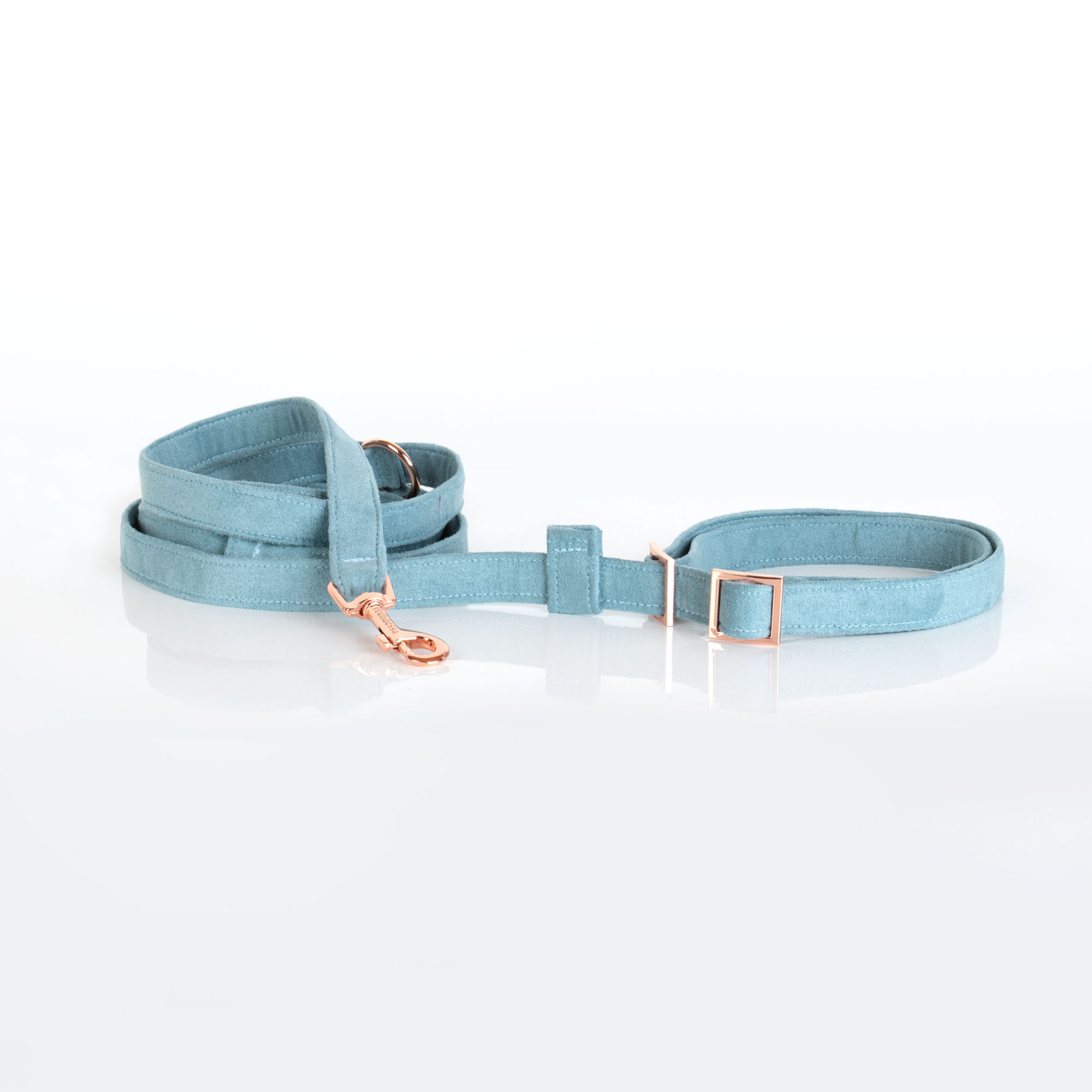 Retrieverleine PASTELTÜRKIS