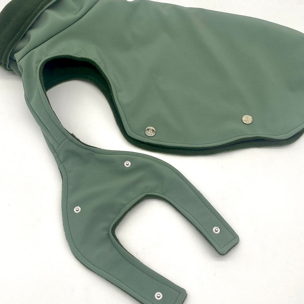 Miniaturbild: Frenchie Hundemantel Softshell ALTGRÜN