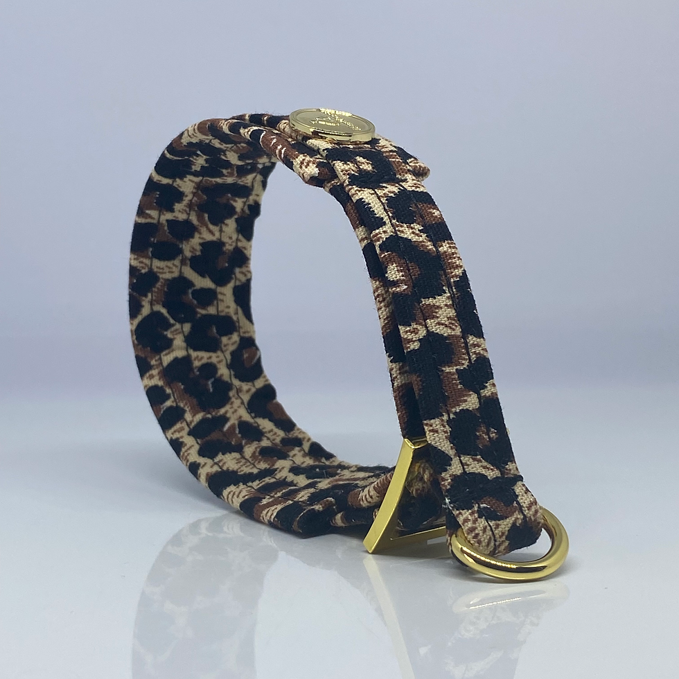 Miniaturbild: Unterlegtes Halsband LEO