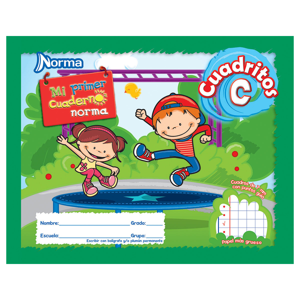 Cuaderno Norma Cuadritos C