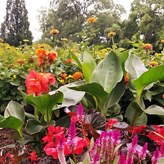 jardin botanique-carée.jpg