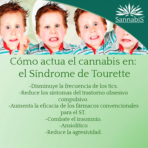 cannabis y sindrome de tourette.jpg