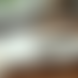 Discover the Power of an Effective Empowerment Program