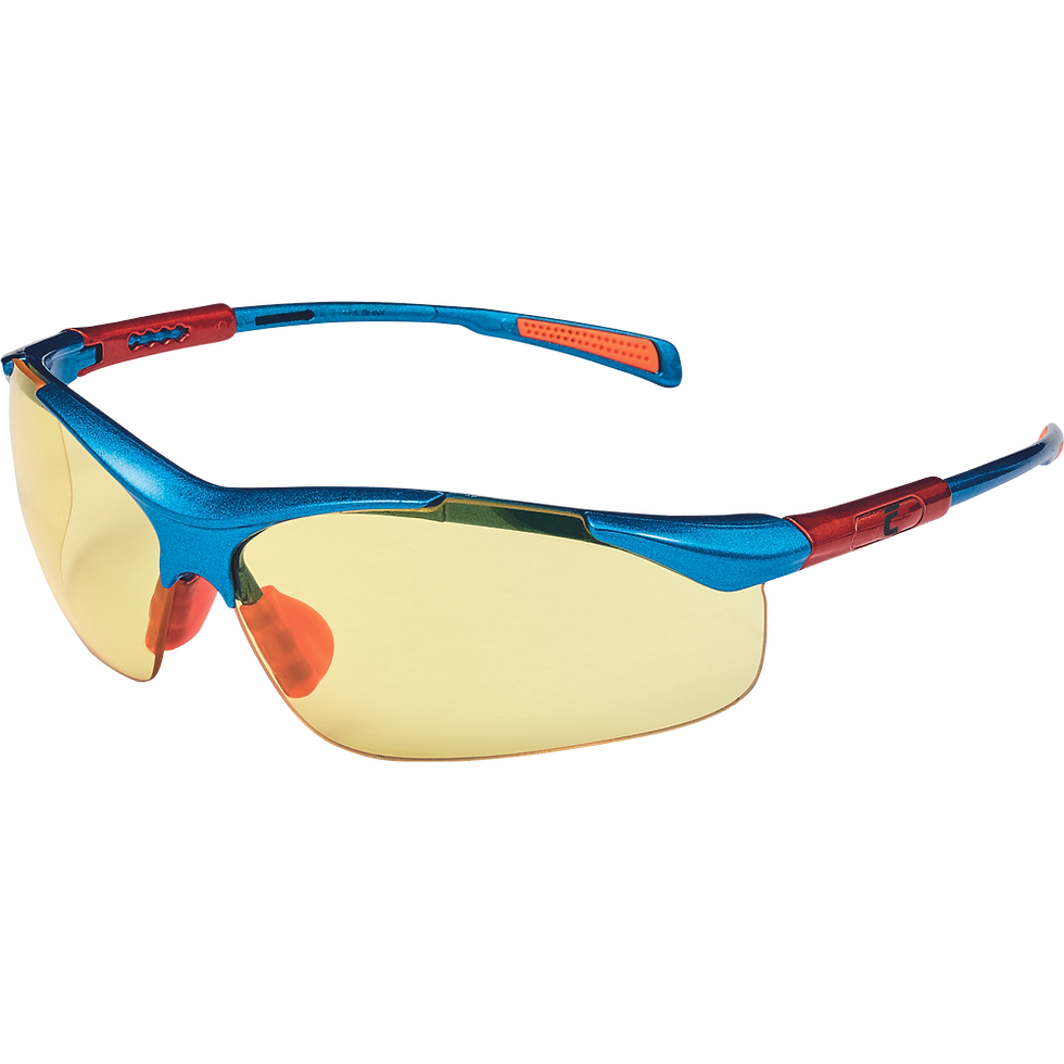 Miniature : NELLORE - Lunettes de protection
