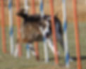 247892415_10209105908040677_892958225142311219_n_edited.jpg