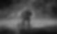 11062b_cbd642f43e2b4ddeb39309806aa582d1~mv2_edited.jpg