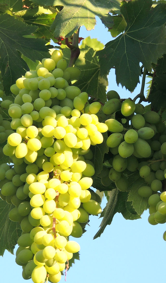 ボードゲームまとめ売り7点 2025年最新】Yahoo!オークション -ボードゲーム まとめての中古