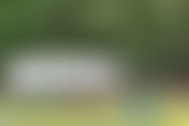 Hoopers Turnier 6. und 7. Juli 2024