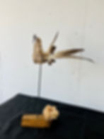 L'Oiseau fait son nid