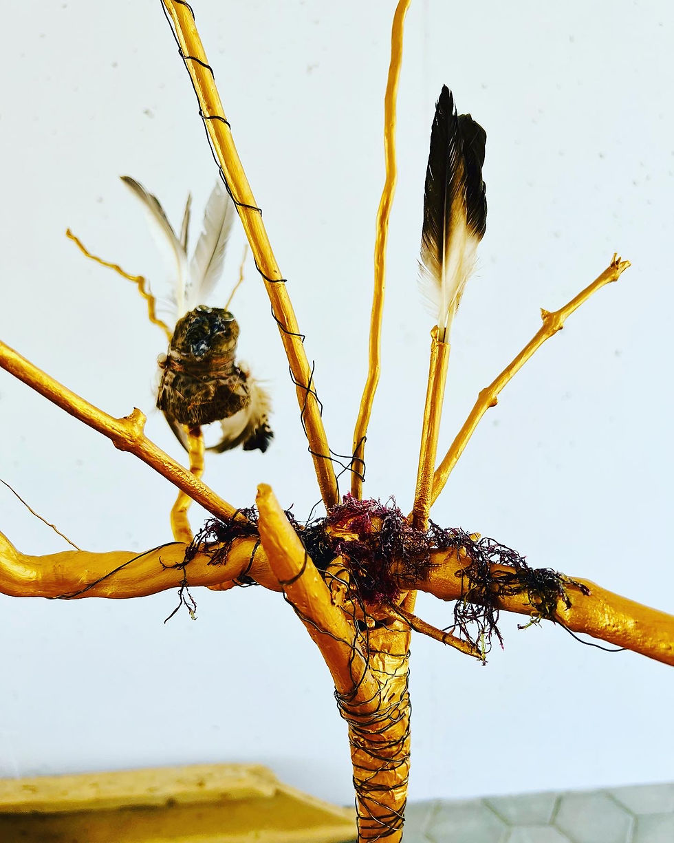 Miniatura: Sur un arbre perché
