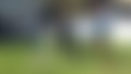 Abertura Moleque Bom de Bola