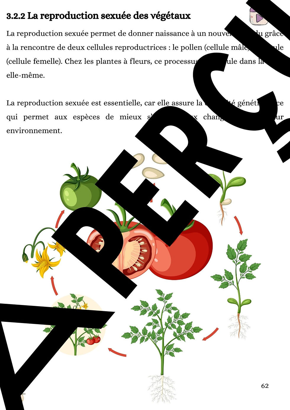 Miniature : Cahier de sciences ADAPT