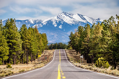 AdobeStock_81956141.jpeg