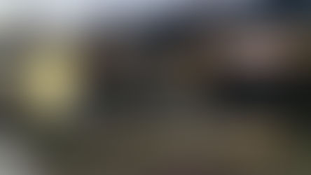 Velocity Wings ★★★✩✩