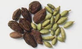 Spice Tutorial - Cardamom