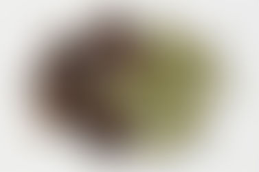 Spice Tutorial - Cardamom