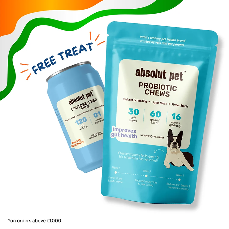Probiotic Chews and Gut Supplement by Absolut Pet