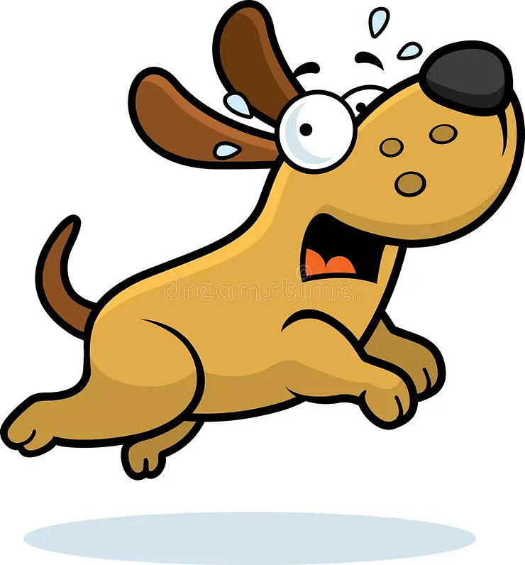 Dog Panicking