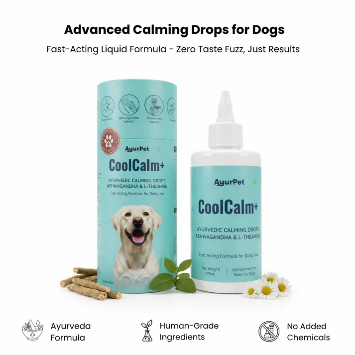 CoolCalm+ by AyurPet - Ayurvedic calming drops for anxious dogs, 30-day pack at Rs. 949