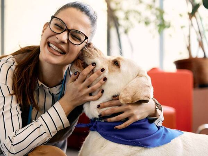 Sustainable care of dogs