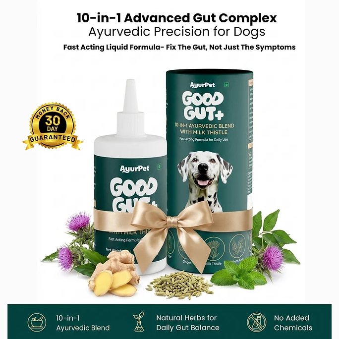 AyurPet GoodGut+ product