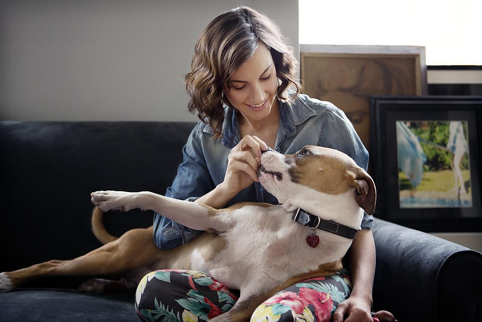 CoolCalm+ | Calming & Behavioral Support for Dogs | Advanced Ayurveda + Science Backed Formulation
Regular priceRs. 999.00 Sale priceRs. 949.005% off