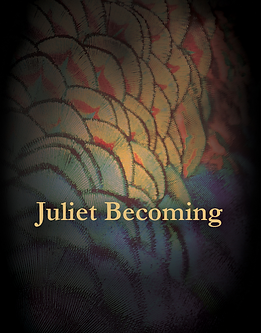 Juliette Becoming Couverture