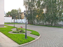 DSCF0941.jpg