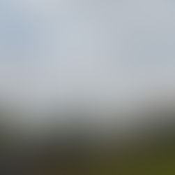 Bathurst set for Radical title decider