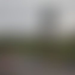 A win apiece for Paddon and Cutts Saturday at Sandown