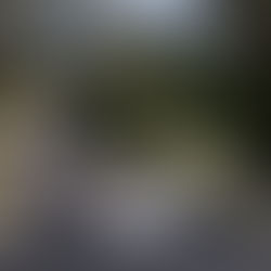 Radical title decider to go down to the wire at Bathurst