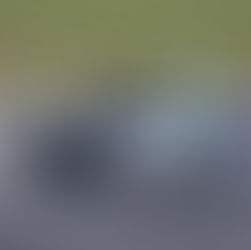 Paddon on Top in Friday Practice at Sydney Motorsport Park