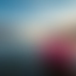 Die beruhigende Kraft von Tian Wang Bu Xin Dan - eine traditionelle chinesische Kräuterformel, hauptsächlich zur Behandlung von Insomnie (Schlaflosigkeit) und Herzklopfen