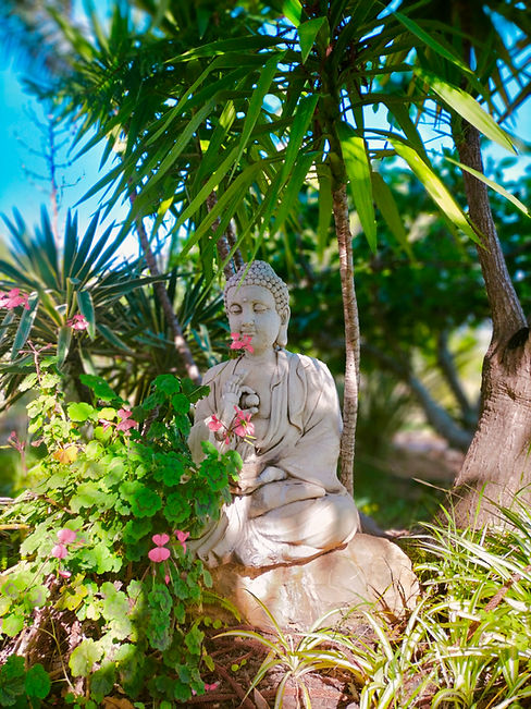 buddhapalme.jpg