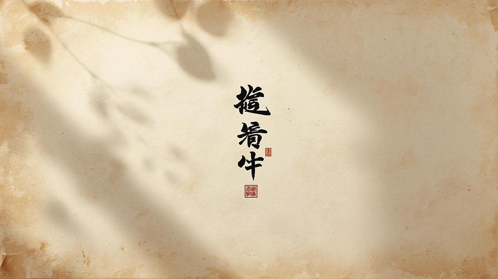 schreibe die chinesischen schriftzeichen für _tcm praxis leipzig__20251025_201414_0000.jpg