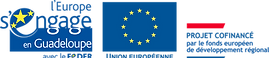 LOGO_FONDS_EUROPEEN_GUADELOUPE_FEDER_projetcofinance.png
